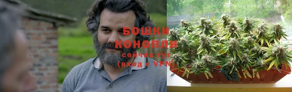 мяу мяу мука Иннополис