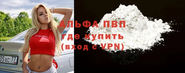 мяу мяу мука Иннополис