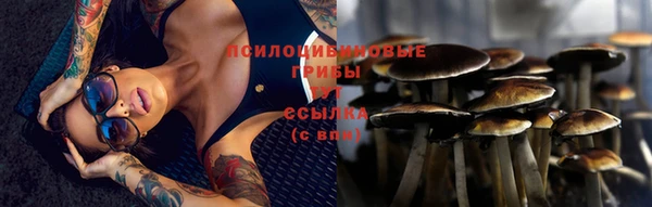 герыч Инта
