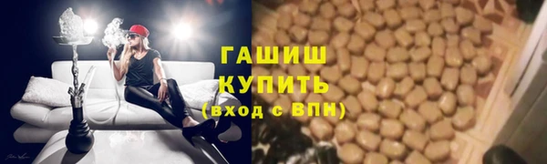мяу мяу мука Иннополис