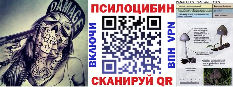 Купить  Ржев  Псилоцибиновые грибы Cubensis 